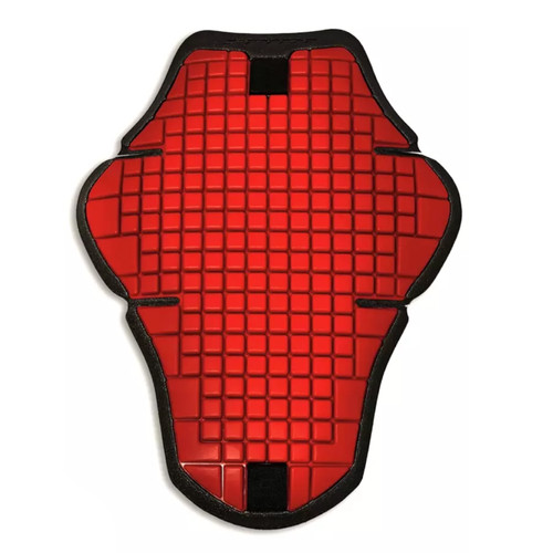 Ducati warrior back - warrior,